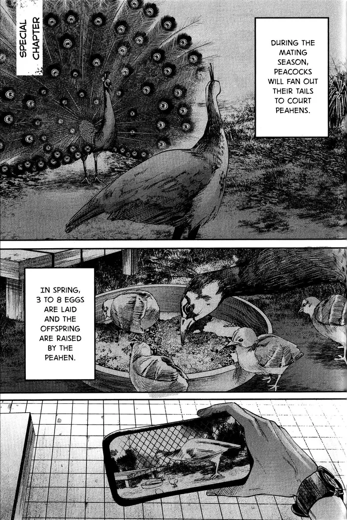 The Summer Hikaru Died Chapter 11.7 image 03_optimized